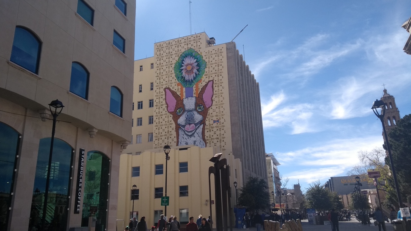 CATASTRO MPIO. CHIHUAHUA