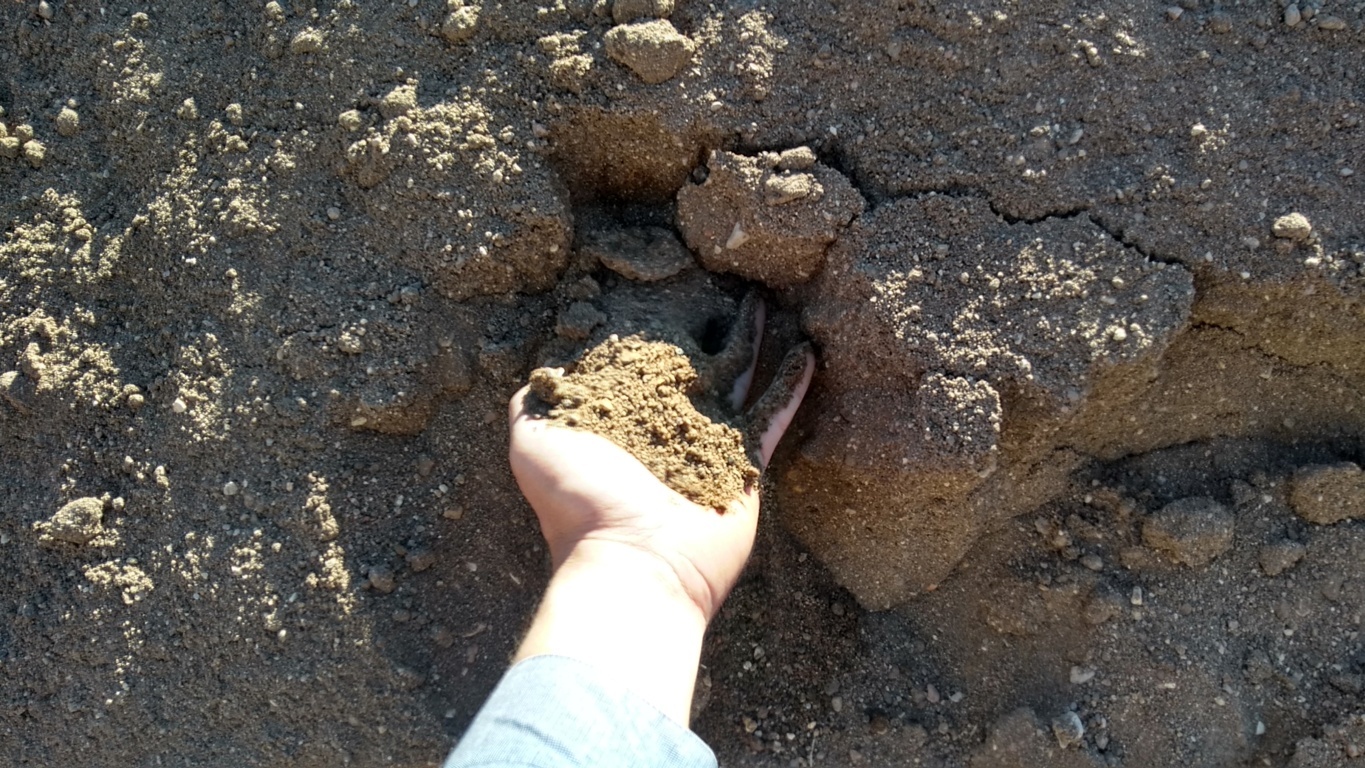 Materiales Los Castillo